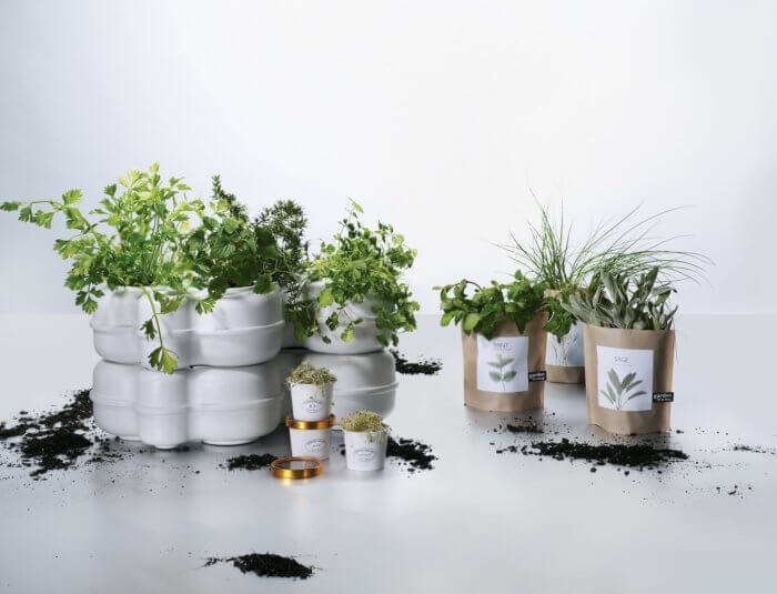 indoor garden and herb kits